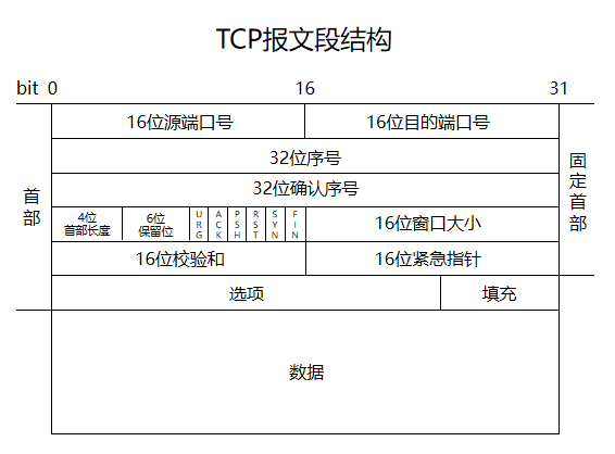 TCP报文段结构